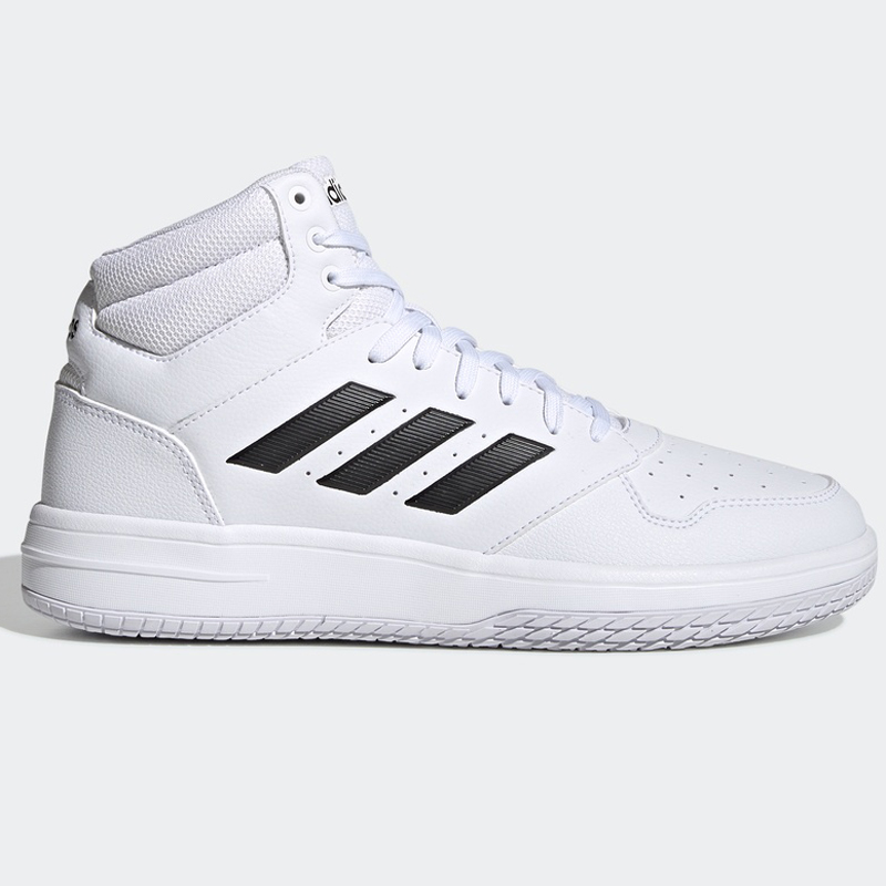 ���� EG4235